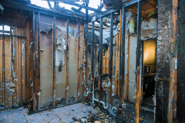 Professional Fire Damage Removal technician working in Chisago City, MN